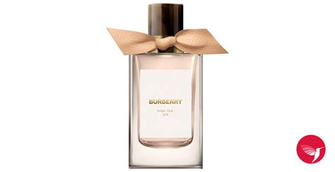 burberry rosada|burberry signatures for men.